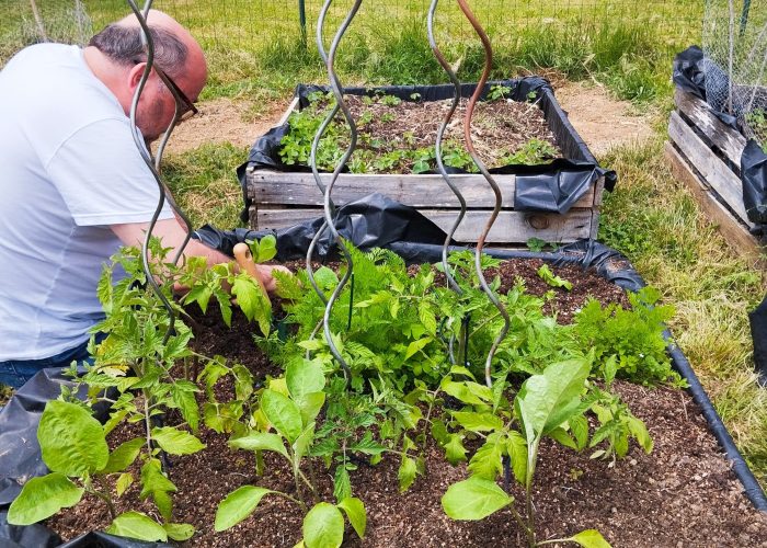 L’Association AVRIL (Association Vauréenne de Rencontre d’Initiative et de Loisirs) 