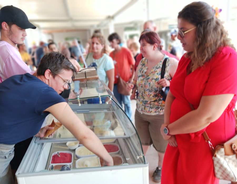 Les festivités de cet été à l’ESAT