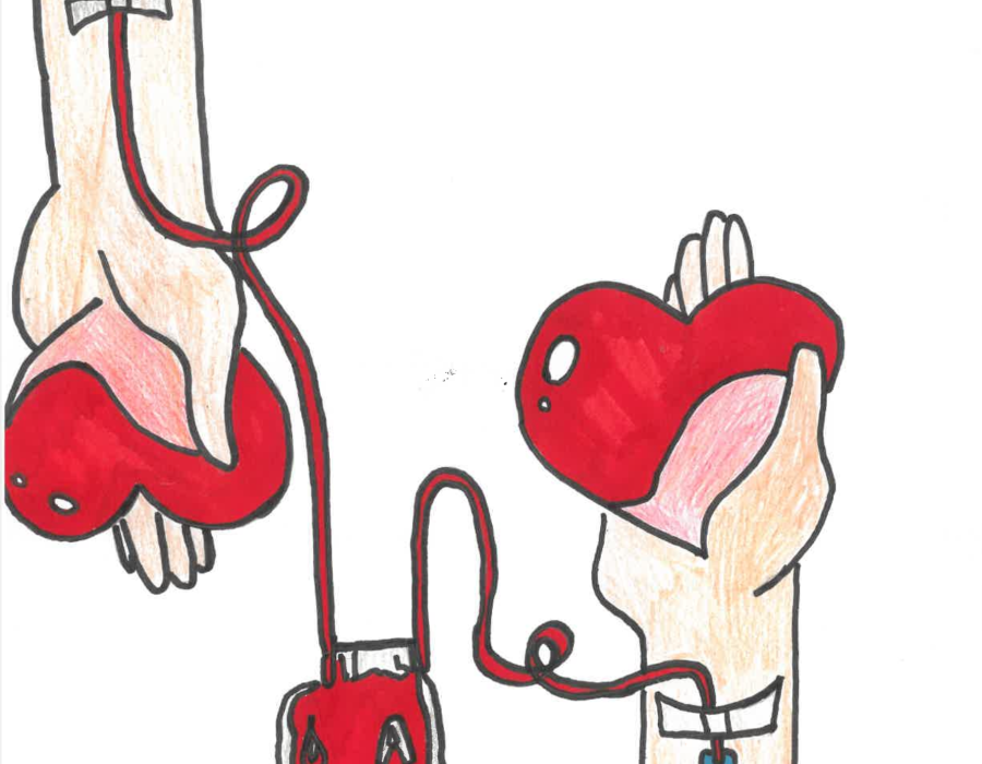 Don du sang ESAT Lavaur