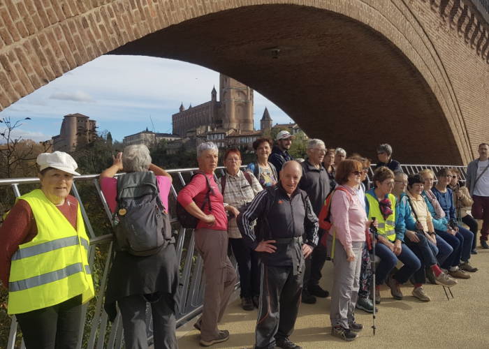 APAJH savs lavaur tarn